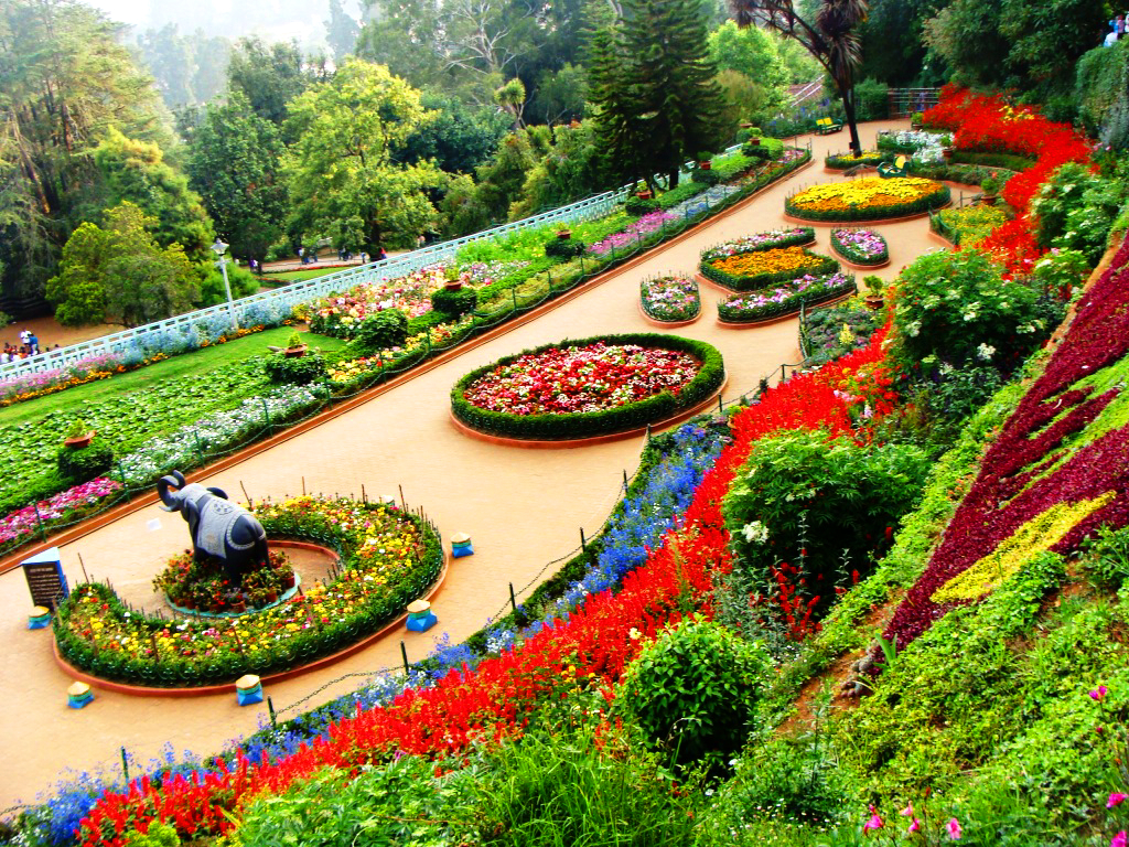 ramya-tours-ooty-tour-package
