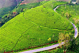 ramyatours-ooty-tour-package